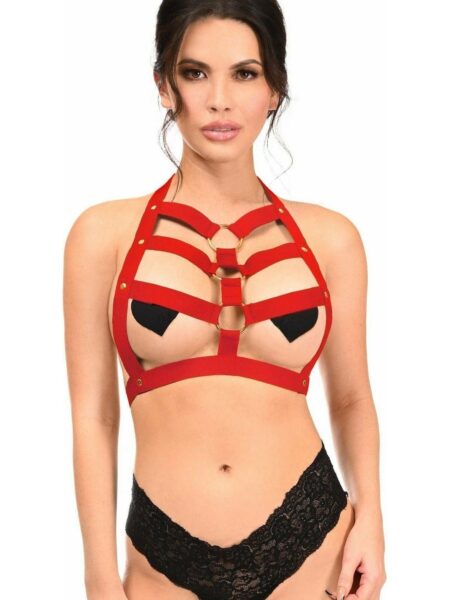 BOXED Dark Red Stretchy Body Harness w/Gold Hardware — Pleasure Zone Houston