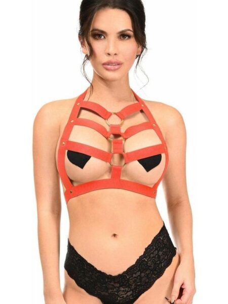BOXED Red Stretchy Body Harness w/Gold Hardware — Pleasure Zone Houston