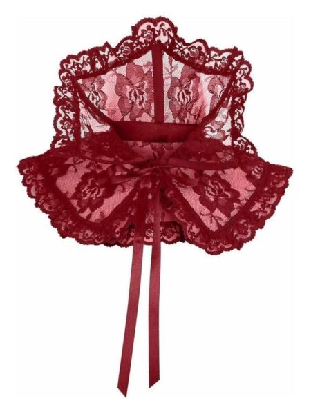 Dark Red Lace Neck Collar — Pleasure Zone Houston