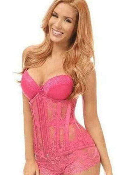 Lavish Fuchsia Sheer Lace Under Bust Corset — Pleasure Zone Houston
