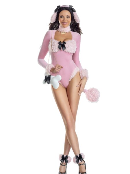 Frenchie Poodle